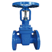 Rising Hard Sealing Gate Valve