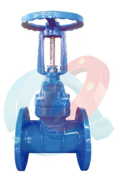 Rising Stem Gate Valve - 图片 2