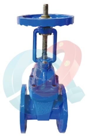 Rising Stem Gate Valve