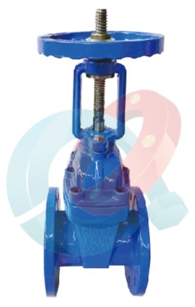 Rising Stem Gate Valve