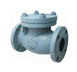 Swing Check Valve