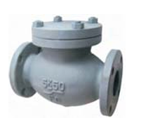 Lift Check Angle Valve