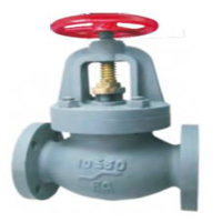 Screw-down Check Globe Valve