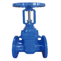 Rising Hard Selling Gate Valve