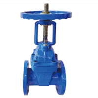Rising Stem Gate Valve