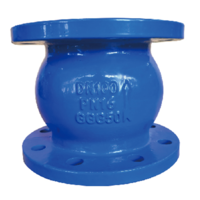 Vertical Lift Check Valve
