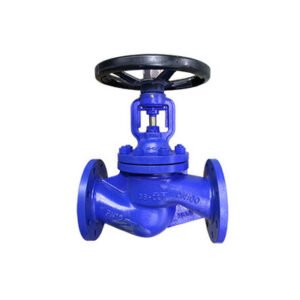 Globe Valve
