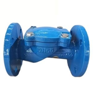 Rubber Disc Check Valve