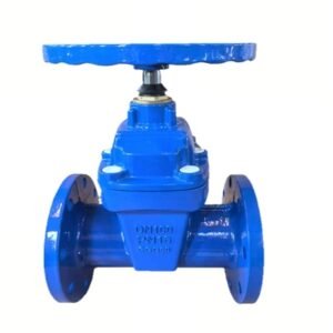 Gate Valve