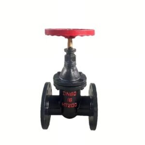 GATE VALVE GOST/RUSSIAN