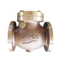 check valves